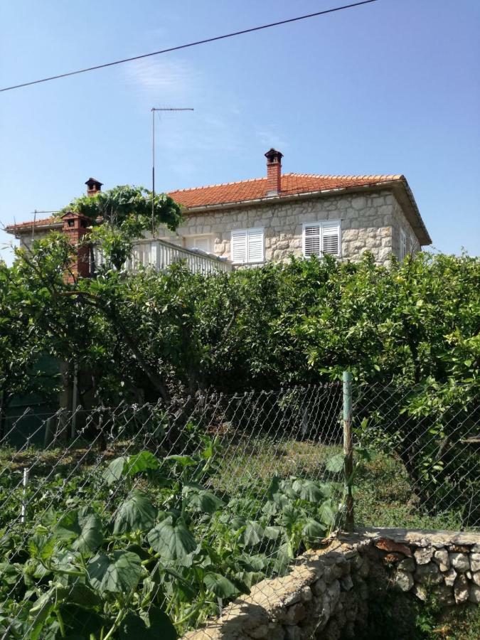 Appartement Apartman Stipe à Jelsa  Extérieur photo