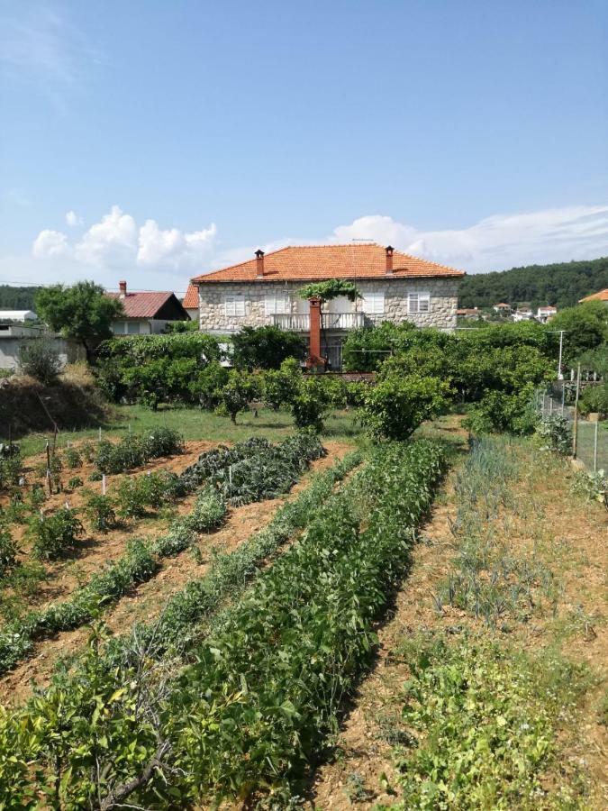 Appartement Apartman Stipe à Jelsa  Extérieur photo